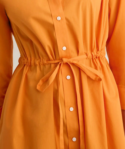 Stretch Cotton Poplin Taylor Shirtdress